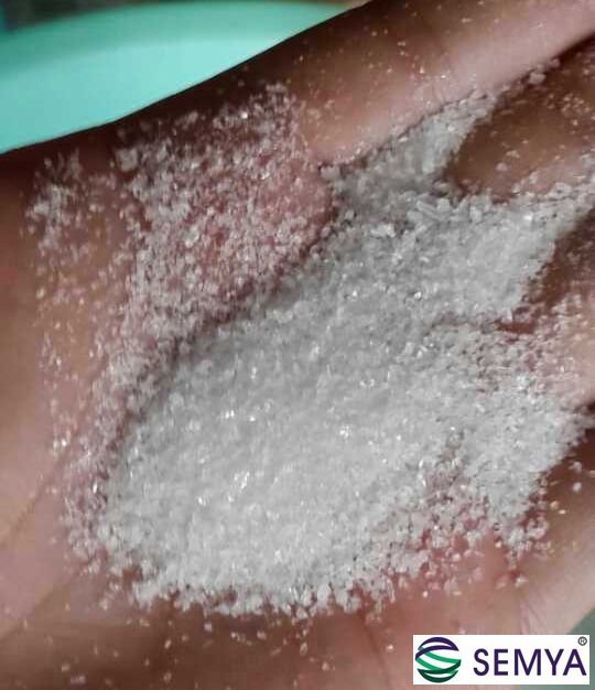 采用DTB結晶器生產(chǎn)的磷酸一銨現(xiàn)場結晶顆粒